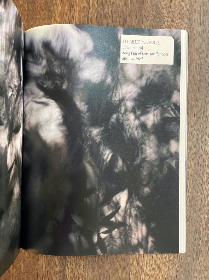 ANRI SALA - ANRI SALA PHAIDON PRESS - (INGLÉS)