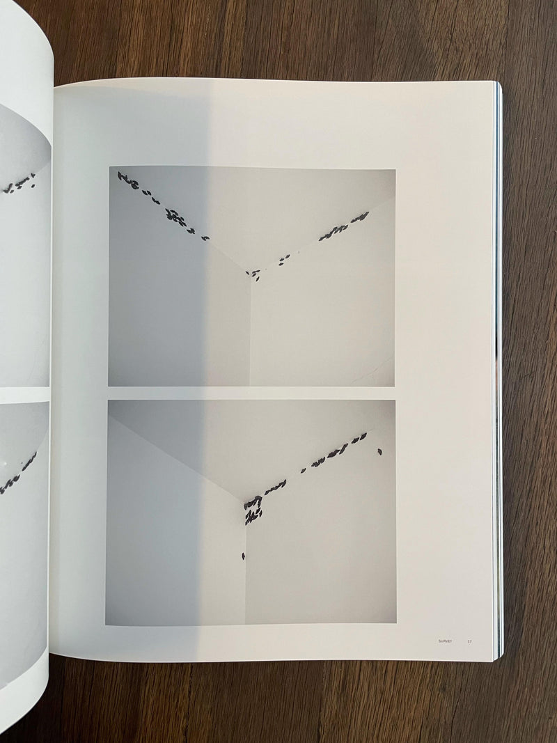 ANRI SALA - ANRI SALA PHAIDON PRESS - (INGLÉS)