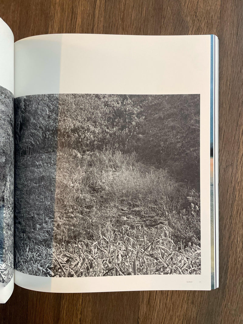 ANRI SALA - ANRI SALA PHAIDON PRESS - (INGLÉS)