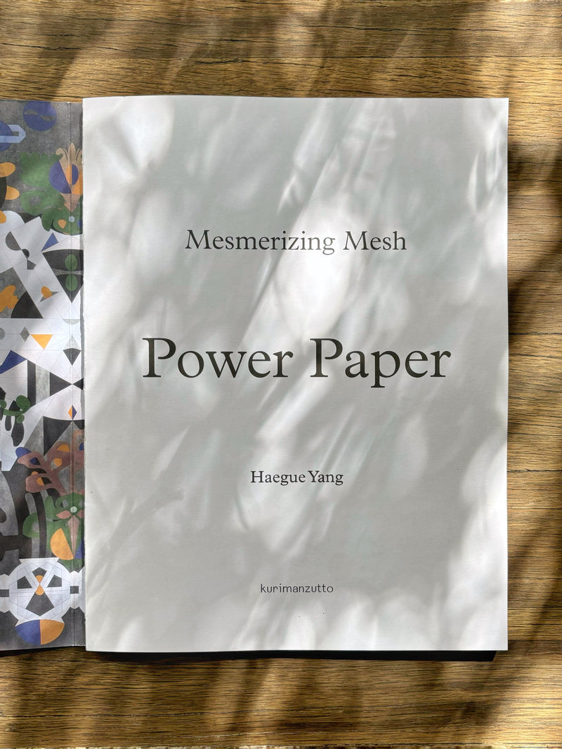 MESMERIZING MESH - POWER PAPER