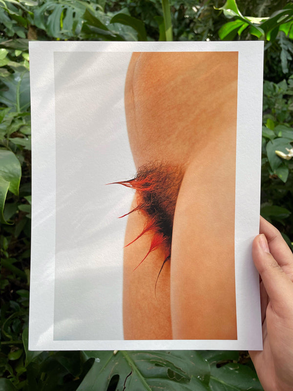 BÁRBARA SÁNCHEZ KANE - PRINT - CUCA FROM THE SERIES "AMOR ENTRE CUCAS"