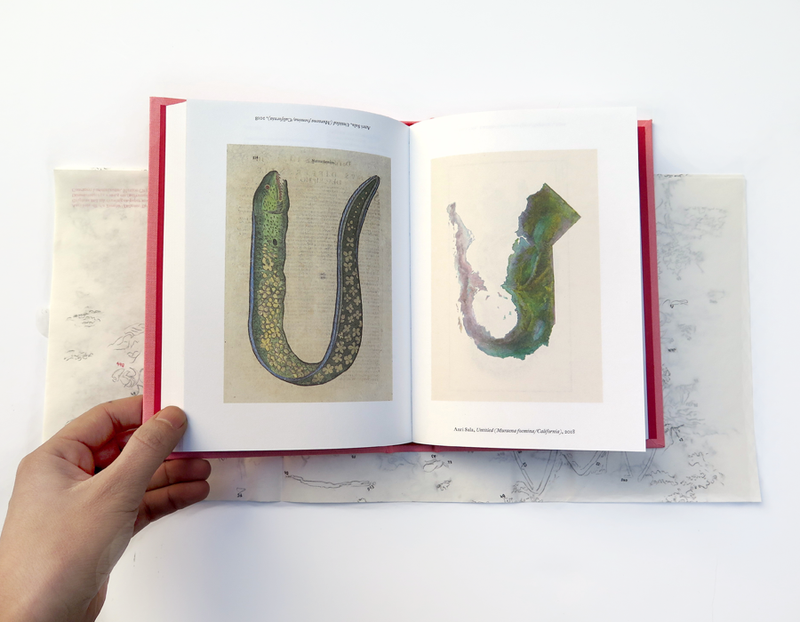 BENDINGS: FOUR VARIATIONS ON ANRI SALA
